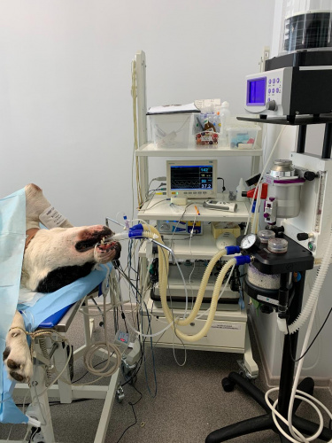 Операционная