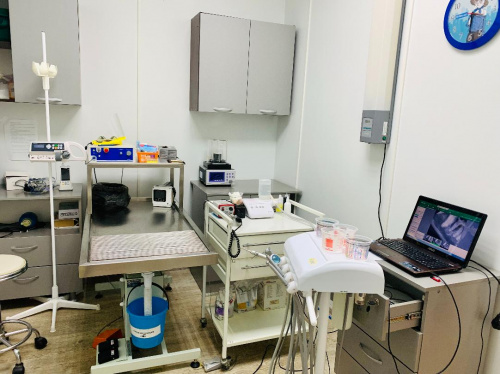 Стоматологическое оборудование