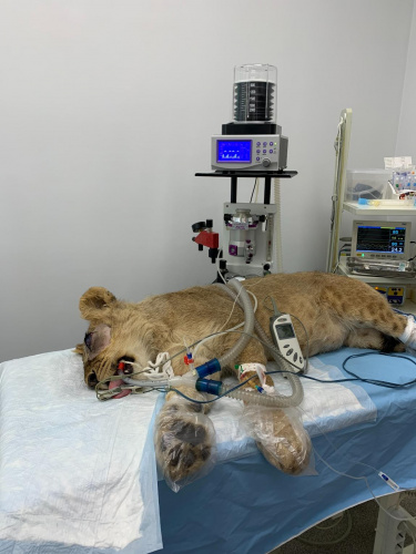 Операционная