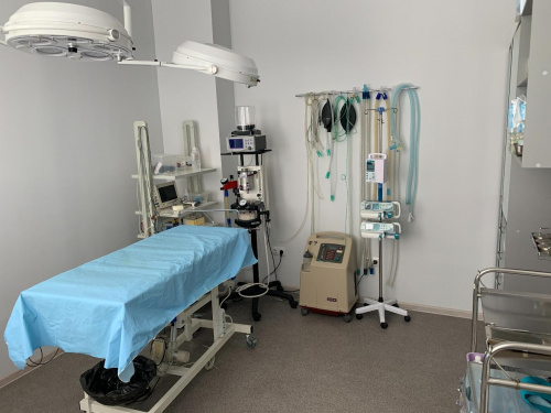 Хирургия. Операционная 1